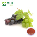 Grape Skin Red Color Natural Pigment